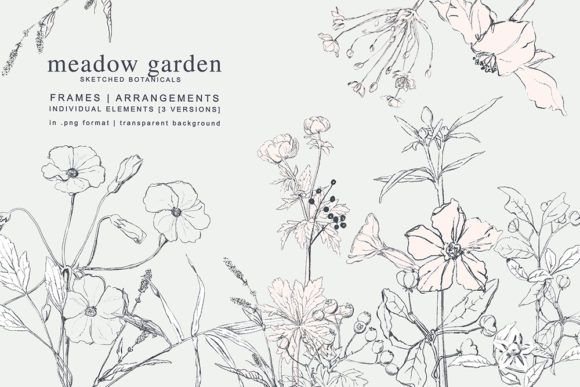 Download Pencil Sketched Botanicals Set - Pen Collection